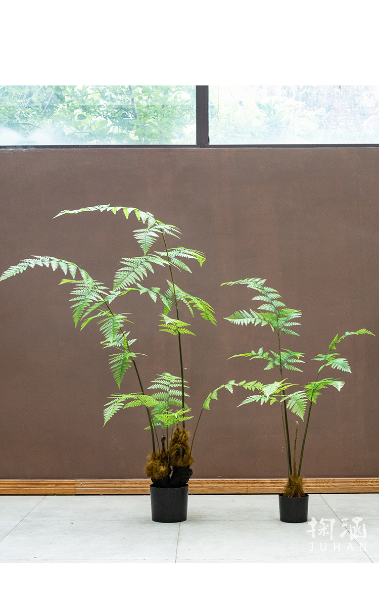 掬涵 仿真大型蕨叶树金丝猴蕨绿植盆景客厅室内橱窗装饰品植物摆件