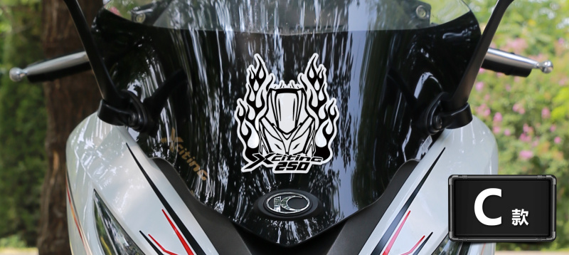 赛艇250贴纸光阳赛艇车贴300400专用标志车标车头剪影图标版画贴纸
