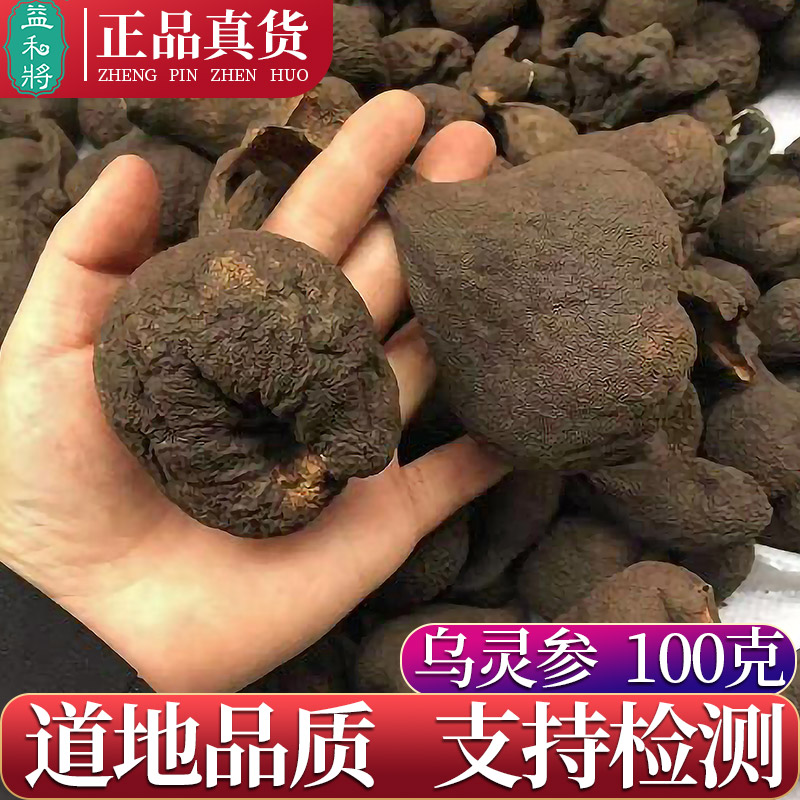乌灵参 乌灵参中药材乌灵参非野生乌灵参鸡枞蛋吊金钟