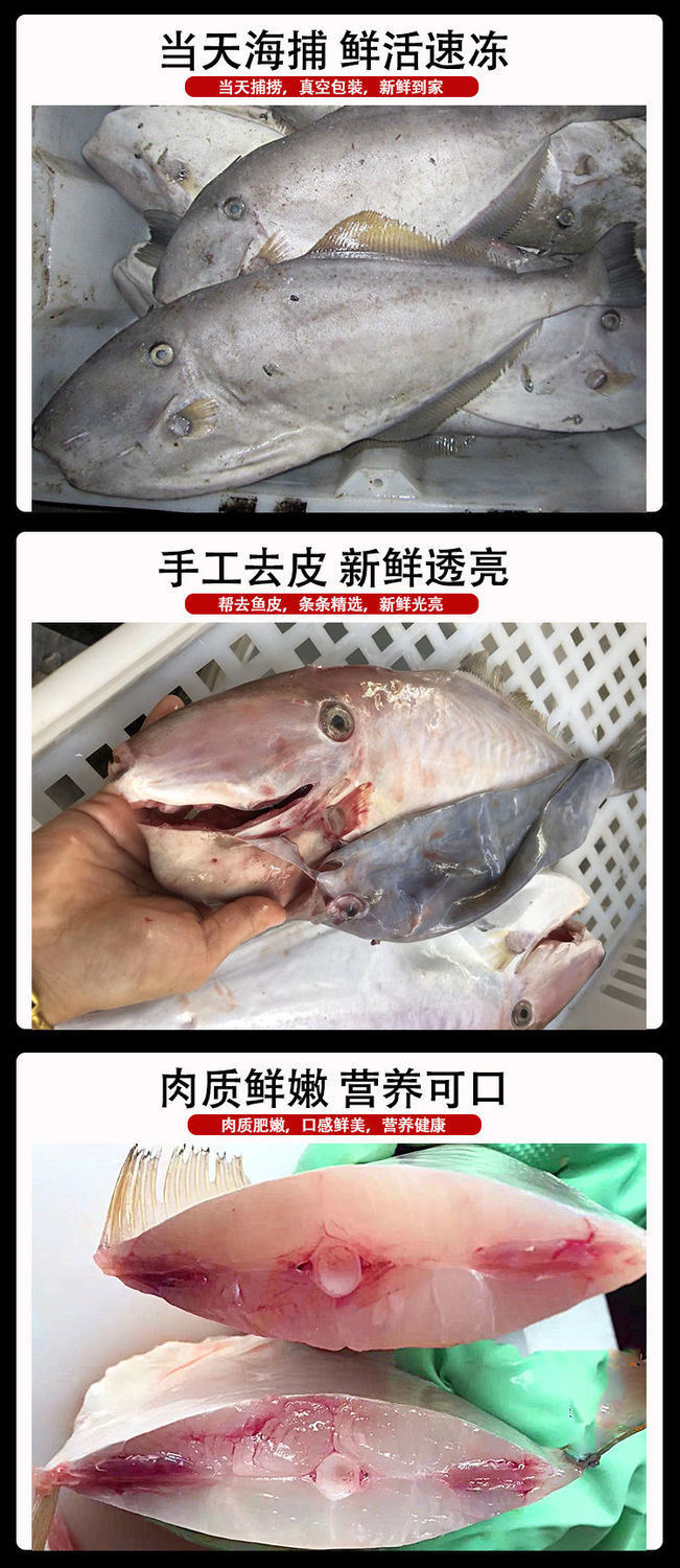 新鲜大号扒皮鱼500g剥皮鱼小号马面耗儿鱼冷冻橡皮鱼海鲜水产大号扒皮