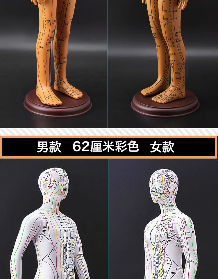 硅胶人体穴位模型高清授课经脉推拿模具初学模拟针灸模特铜人彩色硬质