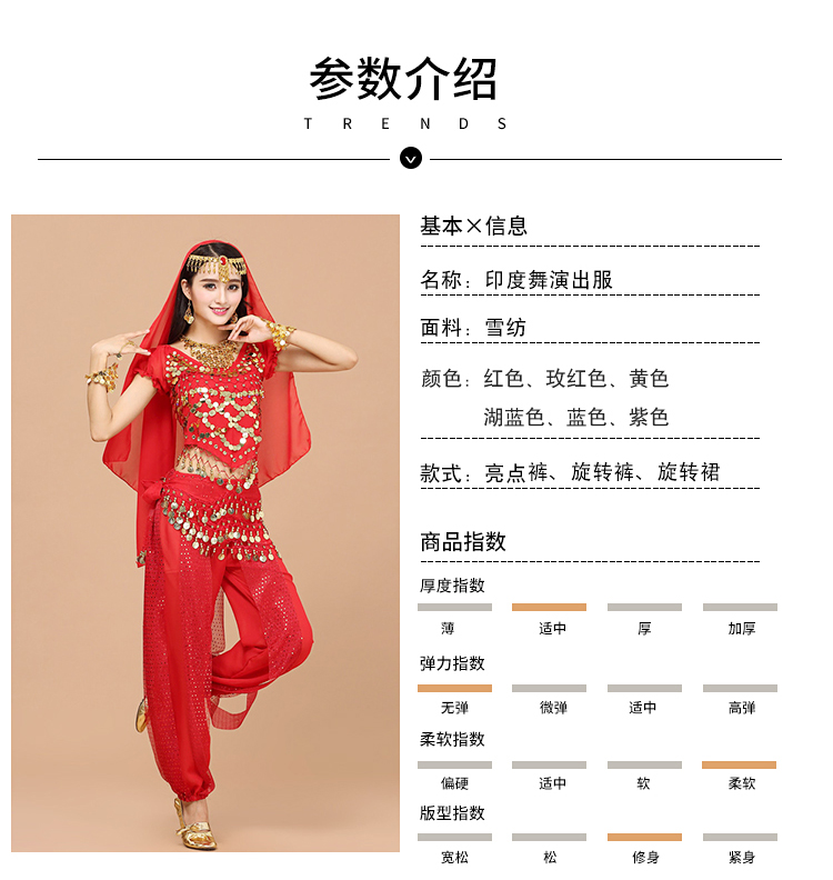 天竺少女舞蹈服印度服装女装肚皮舞大人印度舞演出服套装练功服裙旋转