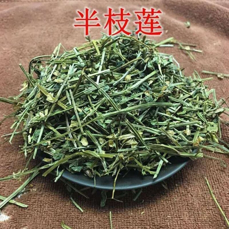 中药材批发半支莲半枝莲挖耳草通经草可搭配白花蛇舌草包退白花蛇舌草