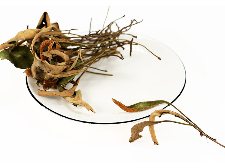 石韦草中药材石韦500g克石苇野生小叶石韦茶石伟石韦草药