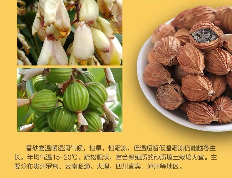 香砂仁川砂仁金砂仁砂仁香料卤料波蔻中药材1000克砂仁
