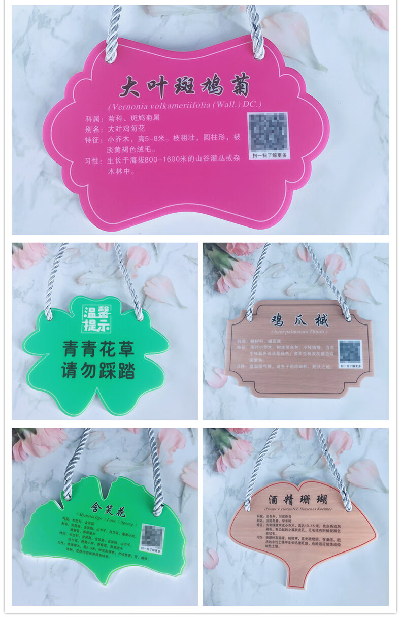 牌卡学校公园植树节树牌设计定制定做植物绿化信息牌树木介绍悬挂标识