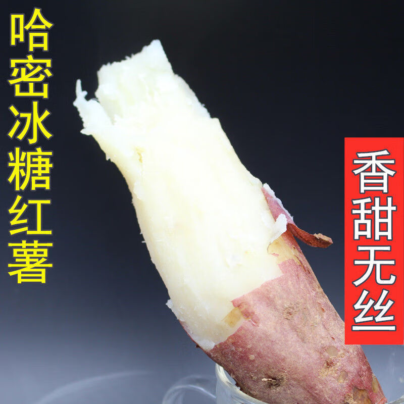红薯地瓜玛莎莉苗红瑶烟薯25西瓜红哈密紫薯蜜薯紫白黄心红心烟薯25苗