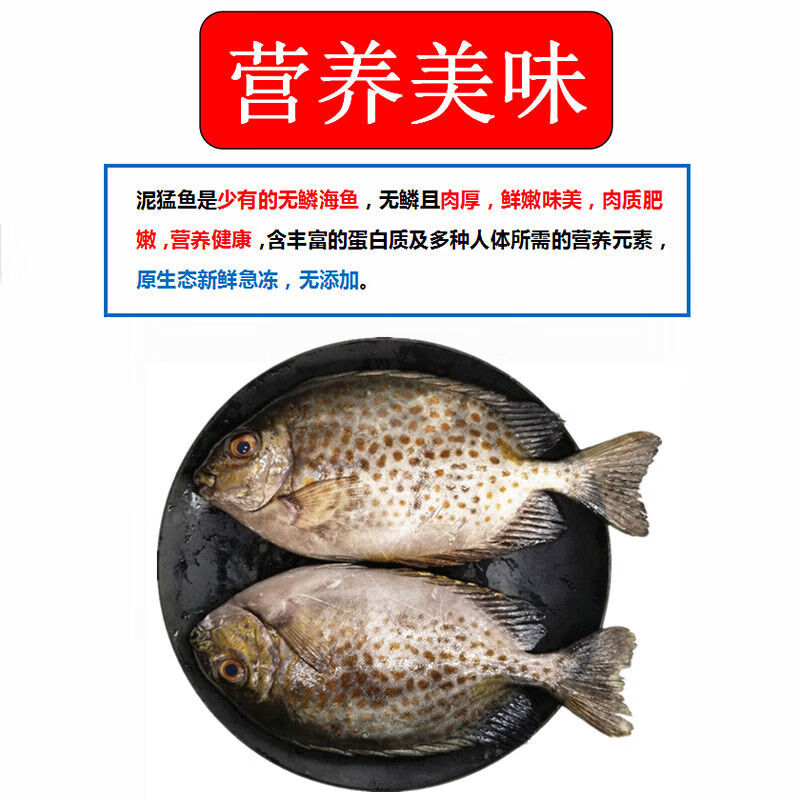 新鲜花泥猛鱼5斤海捕新鲜急冻锁鲜水产半斤肉厚鲜嫩营养宝宝爱吃5斤共