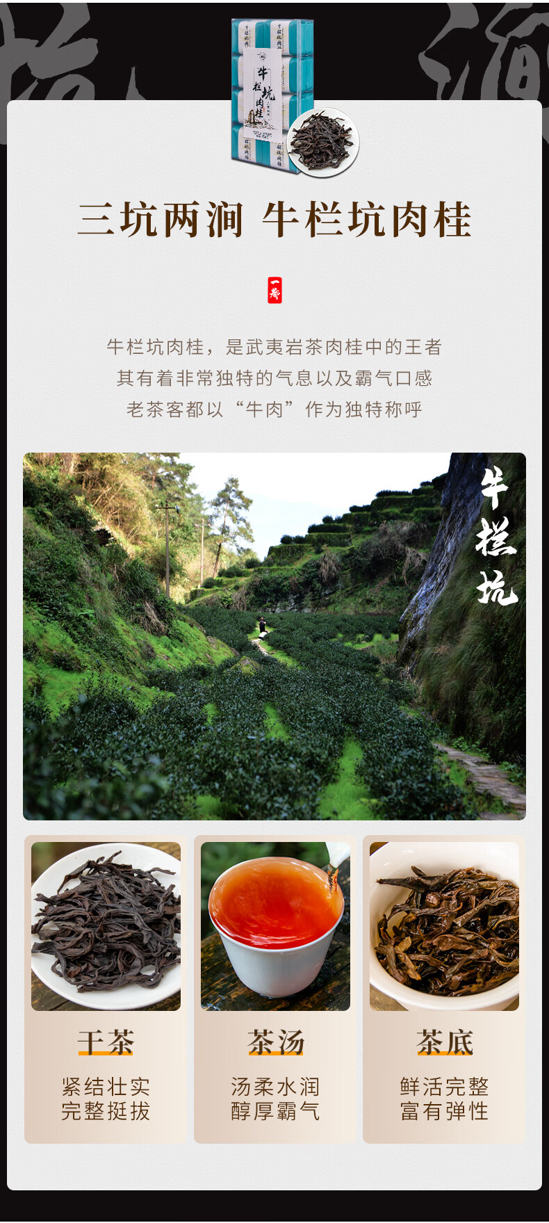 5折马头岩肉桂茶叶武夷山岩茶慧苑坑牛栏坑倒水坑特级武夷山正岩肉桂