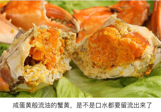 活蟹三门青蟹鲜活1斤1只活蟹红膏蟹公蟹膏母蟹特大超大黄油蟹螃蟹2斤