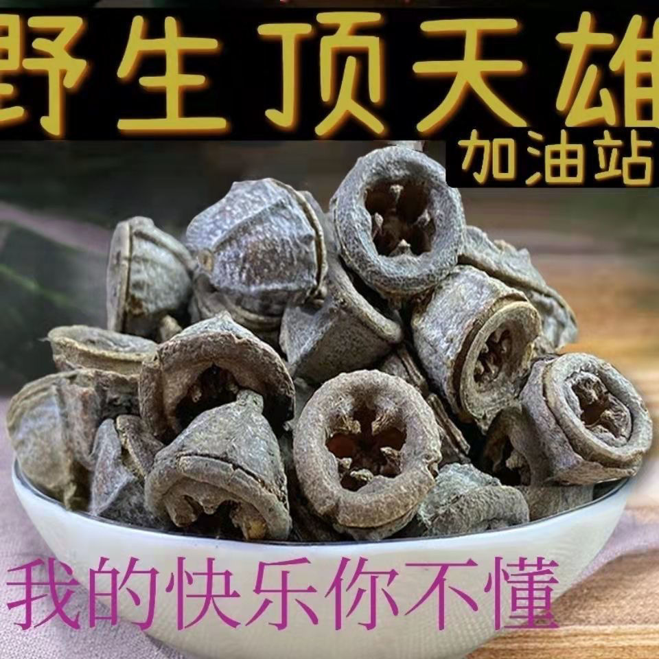 【野生顶天雄】云南顶天雄苗药可搭配顶天柱 1000克【图片 价格 品牌