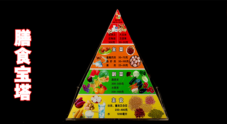 可狄kedi仿真食品中国居民平衡膳食宝塔模型健康食物营养金字塔交换份