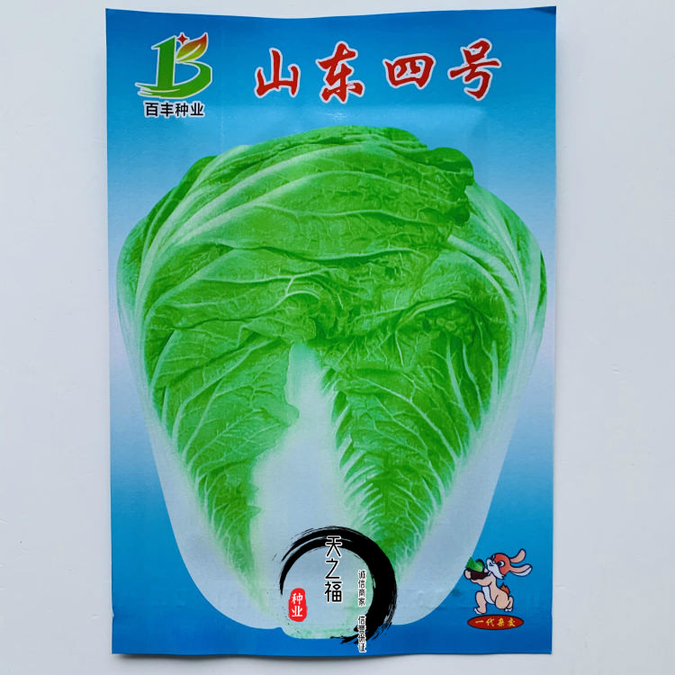 87114大白菜种子高产耐寒抗病毒耐贮藏秋冬黄心白菜种籽蔬菜籽孑崂峰