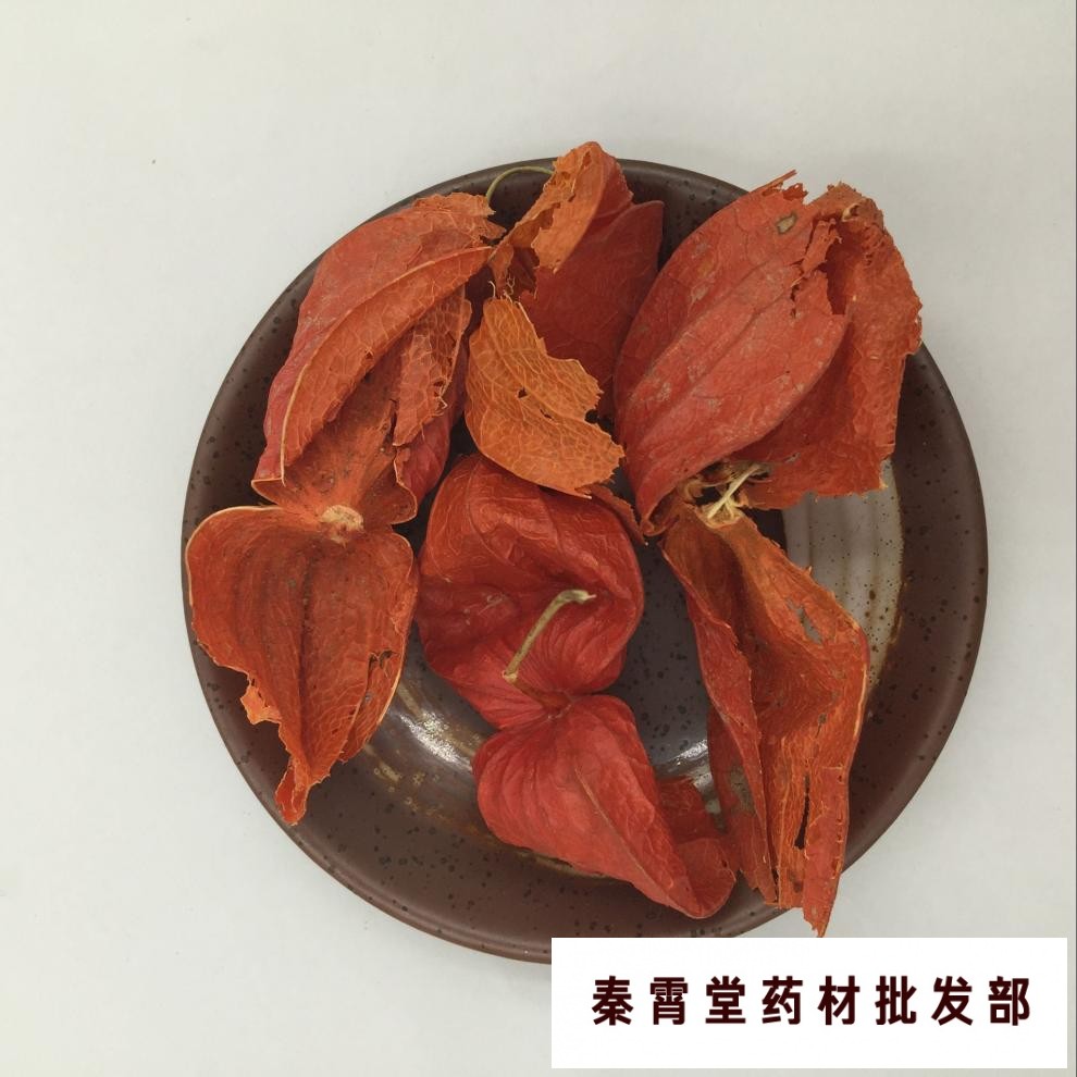 秦霄堂 中草药原材料锦灯笼 挂金灯 金灯 灯笼果 100g