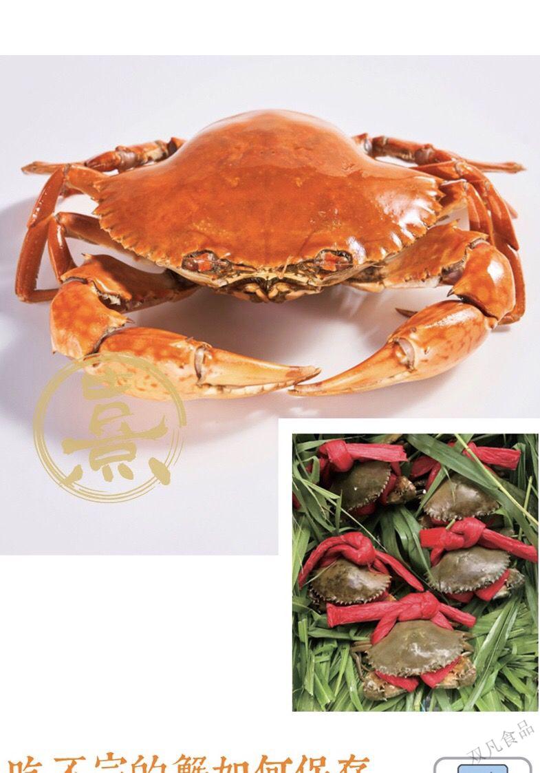 黄油蟹正宗广东南沙一级黄油蟹膏蟹肉蟹青蟹活海鲜水产特大特级膏蟹2
