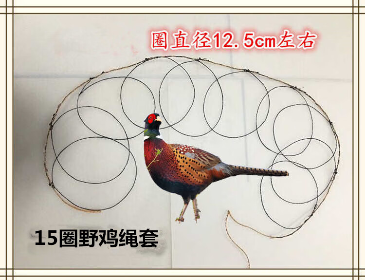 野鸡全套排套竹鸡门套伴脚套绊地套工具鸟套鸽子竹鸡门排套线套地