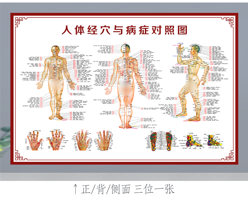 2022新款可狄人体经络穴位图大挂图全身高清穴位中医艾灸推拿按摩针灸