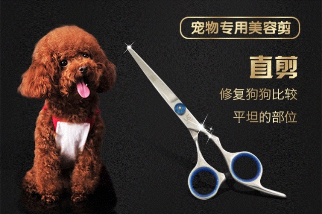 憨憨乐园 宠物剪刀犬美容工具修毛剪7寸直剪狗狗泰迪贵宾剪毛工具