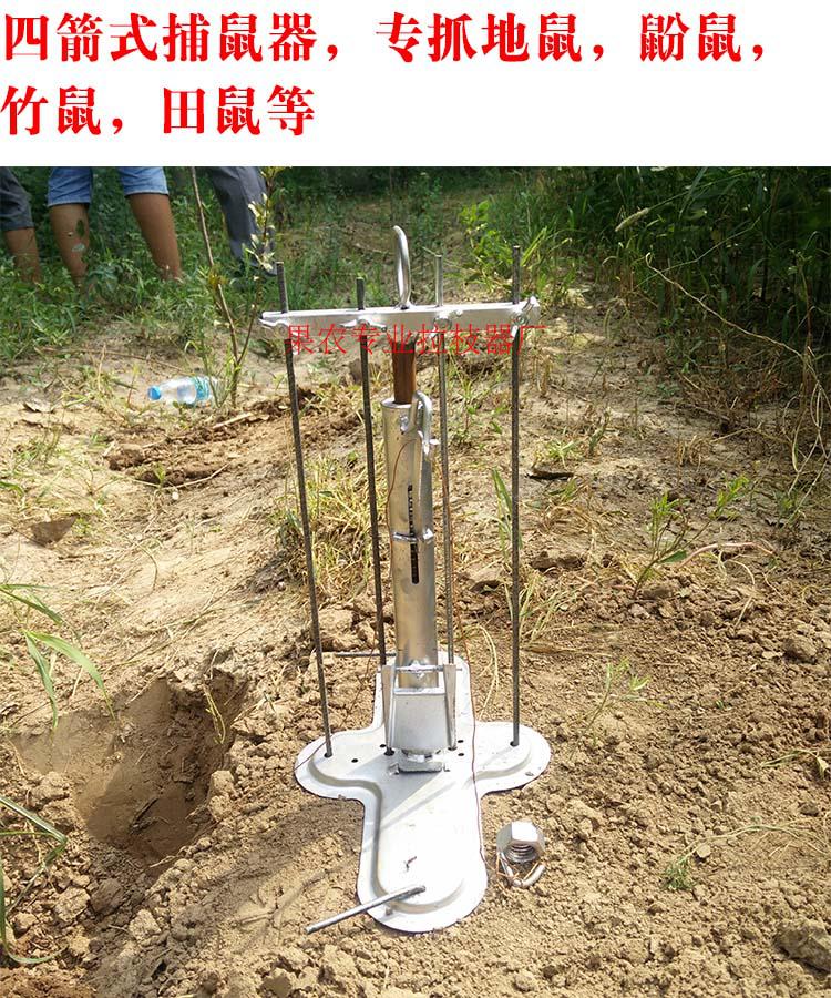 星罗棋布 四箭式捕鼠器 哈哈 鼢鼠 瞎老鼠 地羊 哈毁