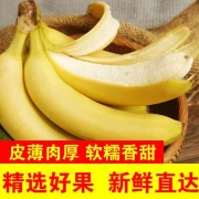 DEARLYBELOVED Yunnan freshly picked alpine bananas, tender, sweet and glutinous, seasonal fresh fruit for pregnant women 9 catties