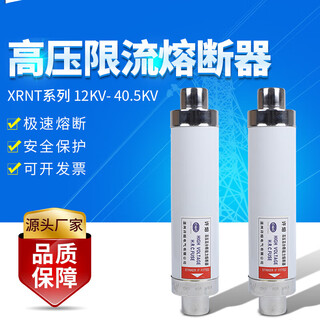 XRNT-10kv/50A63A80A125A160A200A high voltage current limiting high voltage fuse ring network cabinet insurance XRNT-12KV/50A diameter 76*360 
XRNT-10kv/50A63A80A125A160A200A high voltage current limiting high voltage fuse ring network cabinet insurance XRNT-12KV/50A diameter 76*360
