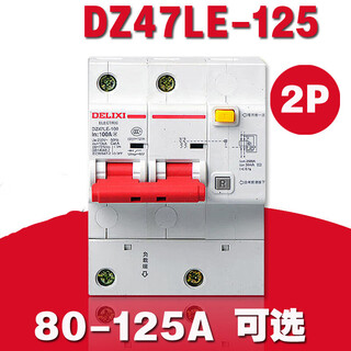 DZ47LE-125 leakage circuit breaker 2P single-phase two-max power protection switch D type 80A 2P 125A 
DZ47LE-125 leakage circuit breaker 2P single-phase two-max power protection switch D type 80A 2P 125A