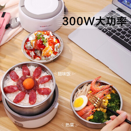 Royalstar Royalstar electric lunch box double-layer heating lunch box steaming rice steamer can be plugged in, heat preservation and sealing stainless steel RFH302 Royalstar Royalstar electric lunch box double-layer heating lunch box steaming rice steamer can be plugged in, heat preservation and sealing stainless steel RFH302