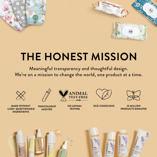 The Honest Company 豪华尿布蛋糕 尿布 湿巾 1(814磅) 70片 The Honest Company 豪华尿布蛋糕 尿布 湿巾 1(814磅) 70片