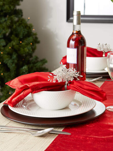 DII 桌面 红色 Napkin Set CAMZ11949 DII 桌面 红色 Napkin Set CAMZ11949