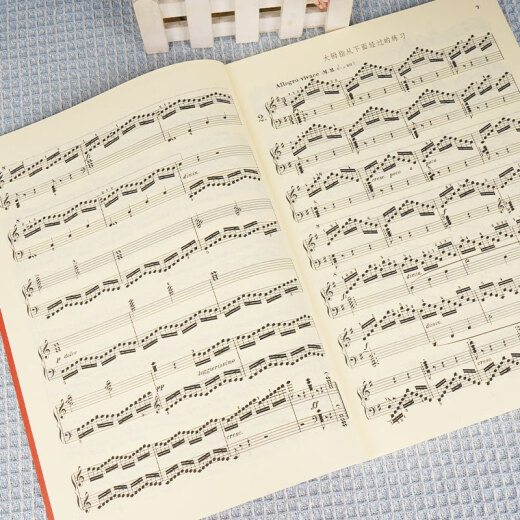 50 Etudes de piano de Cheerny Cheerny, 740 ejercicios técnicos con dedos inteligentes (699) Pople's Music Publishing House Books, Children's Piano Books, Basic Piano Technology Etudes Books, Red Books 50 Etudes de piano de Cheerny Cheerny, 740 ejercicios técnicos con dedos inteligentes (699) Pople's Music Publishing House Books, Children's Piano Books, Basic Piano Technology Etudes Books, Red Books