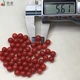 Yanhao natural sardine red coral beads DIY jewelry beads complete size no dyeing no optimization fidelity coral factory self-sale support re-inspection coral beads natural coral beads fidelity 6-6.5mm 1 piece Yanhao natural sardine red coral beads DIY jewelry beads complete size no dyeing no optimization fidelity coral factory self-sale support re-inspection coral beads natural coral beads fidelity 6-6.5mm 1 piece
