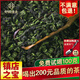 Good rhyme, Anxi Tieguanyin tea, special grade thick-shaped bulk 1725 orchid, Wuong tea, Fujian 2020 new tea 500 grams Good rhyme, Anxi Tieguanyin tea, special grade thick-shaped bulk 1725 orchid, Wuong tea, Fujian 2020 new tea 500 grams