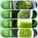 Lepinle tea Mingqian green tea super-grade Biluochun new tea spring tea buds canned 250g with gift bag self-drinking tea Lepinle tea Mingqian green tea super-grade Biluochun new tea spring tea buds canned 250g with gift bag self-drinking tea