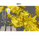 Juran furnishings simulation 5 prongs dancing orchid flowers fake flowers home living room TV cabinet porch office decoration bouquet dried flowers dining table decoration orchid immortal vase floral ceramic flower arrangement 12 yellow dancing orchids + large metal vase with water Juran furnishings simulation 5 prongs dancing orchid flowers fake flowers home living room TV cabinet porch office decoration bouquet dried flowers dining table decoration orchid immortal vase floral ceramic flower arrangement 12 yellow dancing orchids + large metal vase with water