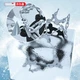 Walsun Warsun crampons non-slip shoe cover shoe spikes outdoor mountaineering rock climbing equipment anti-rain and snow mountaineering anti-skid ice catch snow claws 10 teeth ankle chain 2 pcs 35-45 yards universal Walsun Warsun crampons non-slip shoe cover shoe spikes outdoor mountaineering rock climbing equipment anti-rain and snow mountaineering anti-skid ice catch snow claws 10 teeth ankle chain 2 pcs 35-45 yards universal