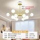 Xin Yu living room lamp simple modern atmosphere net red magic bean chandelier 2021 new Nordic restaurant chandelier bedroom lamp whole house lighting package three rooms two halls 12 gold tricolor Xin Yu living room lamp simple modern atmosphere net red magic bean chandelier 2021 new Nordic restaurant chandelier bedroom lamp whole house lighting package three rooms two halls 12 gold tricolor