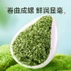 Lepinle tea Mingqian green tea super-grade Biluochun new tea spring tea buds canned 250g with gift bag self-drinking tea Lepinle tea Mingqian green tea super-grade Biluochun new tea spring tea buds canned 250g with gift bag self-drinking tea