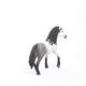 Schleich 13821 Andalusian Hengstfigur Schleich 13821 Andalusian Hengstfigur
