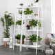 Overflowing Year of China Mobile Books Kitchen Shelf Rack Storage Balcony Flower Hand Multilayer Showcase Sequence Elegant White DKI4711W Overflowing Year of China Mobile Books Kitchen Shelf Rack Storage Balcony Flower Hand Multilayer Showcase Sequence Elegant White DKI4711W