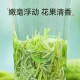 Lepinle tea Mingqian green tea super-grade Biluochun new tea spring tea buds canned 250g with gift bag self-drinking tea Lepinle tea Mingqian green tea super-grade Biluochun new tea spring tea buds canned 250g with gift bag self-drinking tea