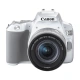Canon CanonEOS 200D II 200D2 Mini SLR Camera 18-55 Standard Zoom Lens Kit White About 24.1 Megapixels/4K Video Canon CanonEOS 200D II 200D2 Mini SLR Camera 18-55 Standard Zoom Lens Kit White About 24.1 Megapixels/4K Video