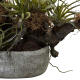 Fast natürliche Gartenorchidee und geschnittene geschnittene Blumen schwarz 4839 Fast natürliche Gartenorchidee und geschnittene geschnittene Blumen schwarz 4839