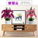 Xilaika simulation flower set Phalaenopsis fake flower indoor silk flower decoration vase floral plastic flower living room TV cabinet decoration flower square pot of fragrant snow orchid 9 blue Xilaika simulation flower set Phalaenopsis fake flower indoor silk flower decoration vase floral plastic flower living room TV cabinet decoration flower square pot of fragrant snow orchid 9 blue