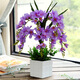 Xilaika simulation flower set Phalaenopsis fake flower indoor silk flower decoration vase floral plastic flower living room TV cabinet decoration flower square pot of fragrant snow orchid 9 blue Xilaika simulation flower set Phalaenopsis fake flower indoor silk flower decoration vase floral plastic flower living room TV cabinet decoration flower square pot of fragrant snow orchid 9 blue
