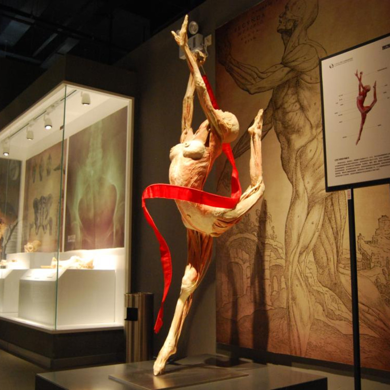 大连生命奥秘博物馆图片