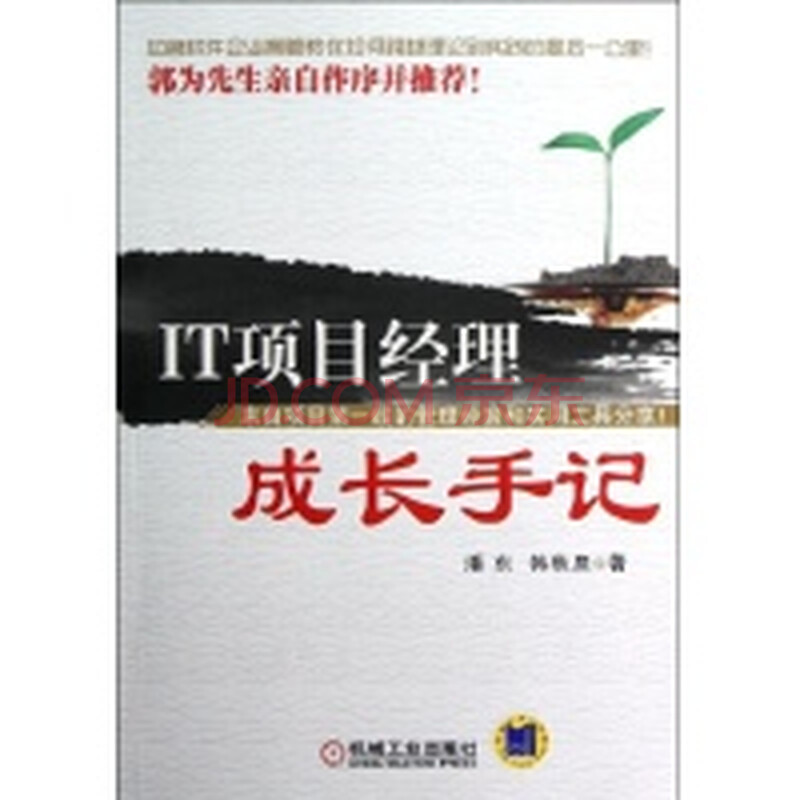 it天空_it项目经理收入