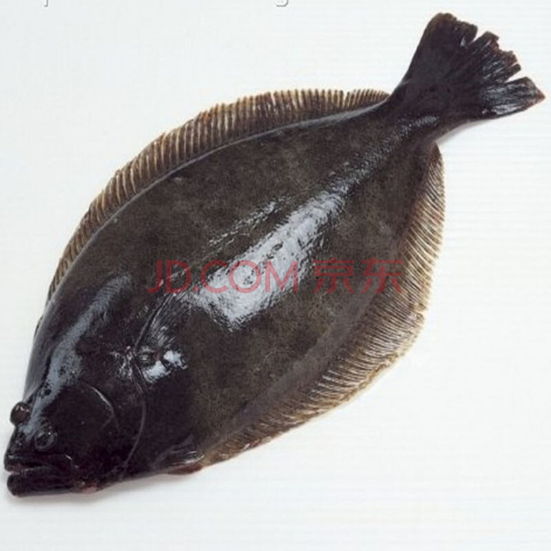 聚福鲜冷冻海鲜 深海鱼 黑鲽鱼850g-950g/条 鸦片鱼