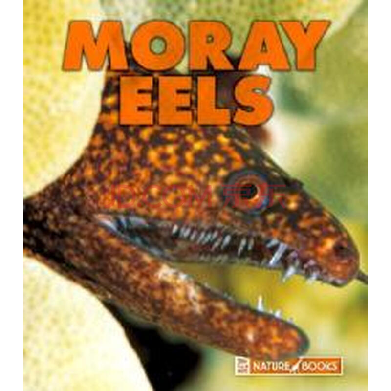 【预订】moray eels