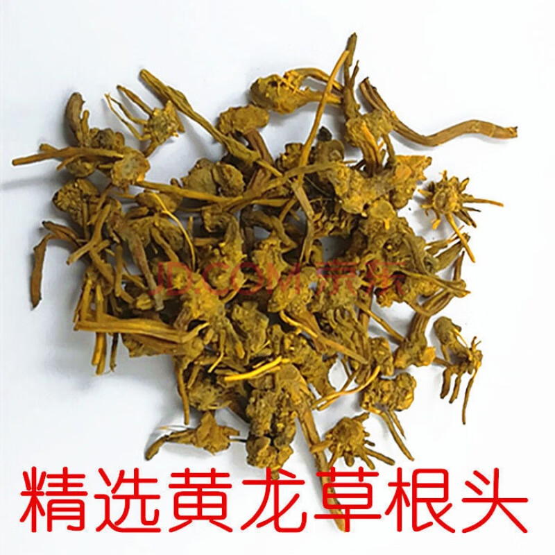 青藏雪山黄龙草根须条黄龙茶黄龙头颗粒人工精选龙须草根养生散装黄龙