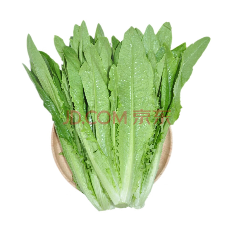油麦菜约300g
